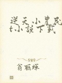 逆天小农民txt小说下载封面