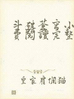 斗破苍穹小说免费阅读完整版在线封面