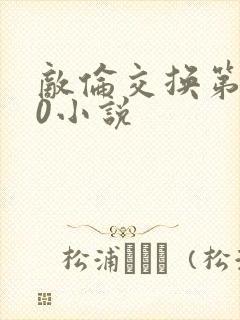 敌伦交换第150小说封面