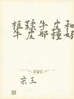 植鞣牛皮和头层牛皮哪种好