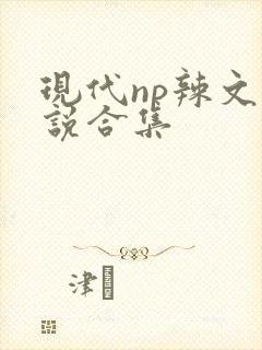 现代np辣文小说合集