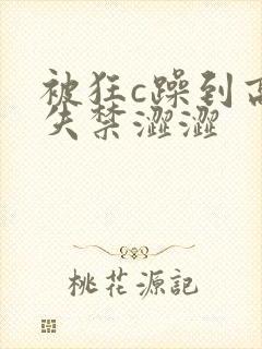 被狂c躁到高潮失禁涩涩