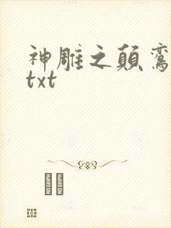 神雕之颠鸾倒凤txt封面