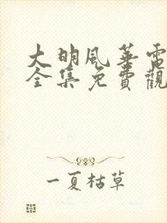 大明风华电视剧全集免费观看