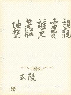 他是谁电视剧完整版免费观看高清