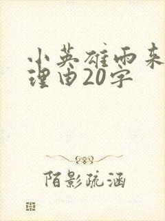 小英雄雨来推荐理由20字