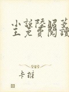 小说陆昭菱与晋王免费阅读