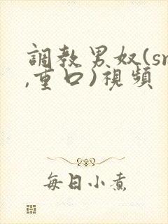 调教男奴(sm,重口)视频