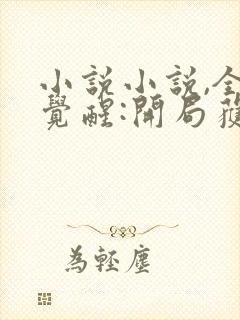 小说小说,全民觉醒:开局获得sss级天赋