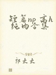 短篇np 高h 纯肉合集封面