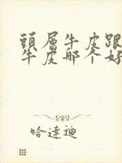 头层牛皮跟二层牛皮哪个好