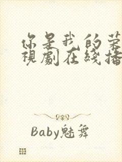 你是我的荣耀电视剧在线播放免费观封面