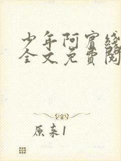 少年阿宾线阅读全文免费阅读最新