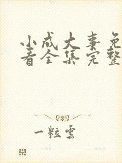 小成大事免费观看全集完整版高清