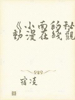 《小南的秘密》动漫在线观看全集免费