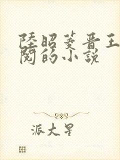 陆昭菱晋王周时阅的小说