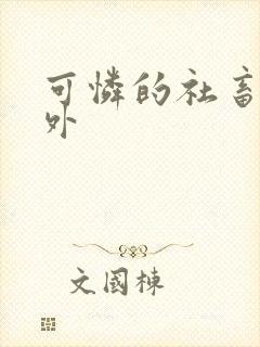 可怜的社畜新番外