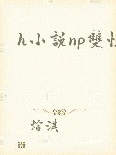 h小说np双性