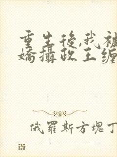 重生后,我被病娇摄政王缠上了全本txt下载封面