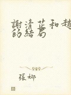 谢清芷和赵初临的结局封面