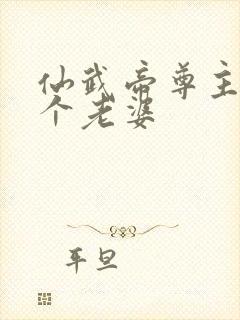 仙武帝尊主角几个老婆