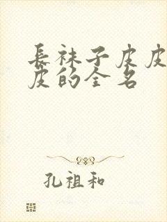 长袜子皮皮中皮皮的全名