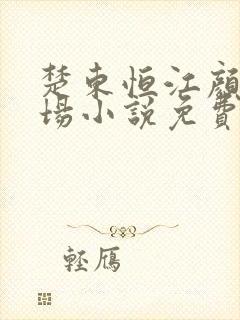 楚东恒江颜的官场小说免费阅读