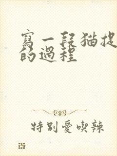 写一段猫捉老鼠的过程