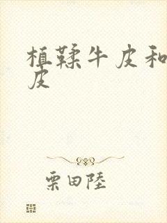 植鞣牛皮和树膏皮封面