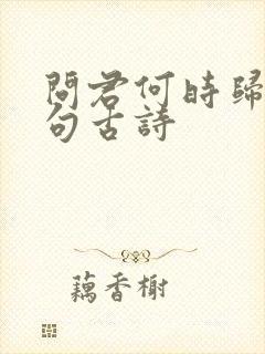 问君何时归下一句古诗