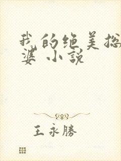 我的绝美总裁老婆 小说