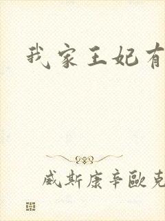 我家王妃有点野封面