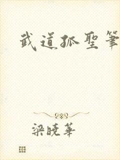 武道孤圣笔趣阁