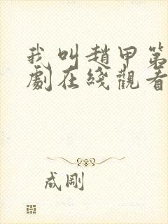 我叫赵甲第电视剧在线观看全集免费