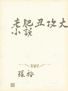 老肥丑攻大合集小说