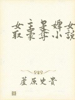 女主是婢女被强取豪夺小说