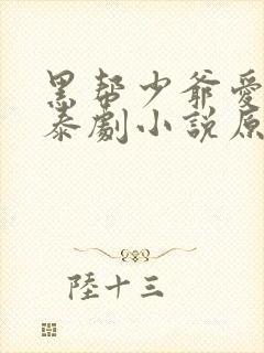 黑帮少爷爱上我泰剧小说原著