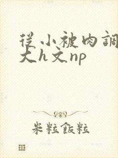 从小被肉调教到大h文np