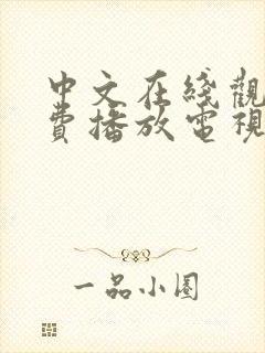 中文在线观看免费播放电视剧大全最封面