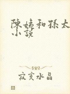 陈姨和孙太太的小说