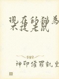 现在的猫为什么不捉老鼠