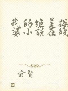 我的绝美总裁老婆小说在线阅读封面