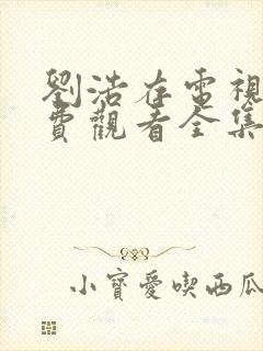 刘浩存电视剧免费观看全集在线播放封面