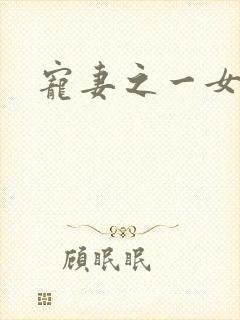 宠妻之一女二夫封面