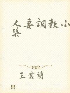 人妻调教小说合集