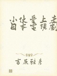 小伙爱上老阿姨日本电视剧免费播放