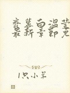 齐慕白温莹小说最新章节免费阅读全