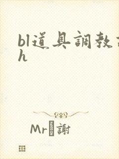 bl道具调教高h封面