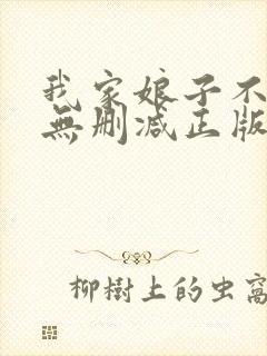 我家娘子不对劲无删减正版封面