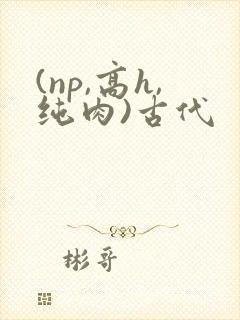 (np,高h,纯肉)古代